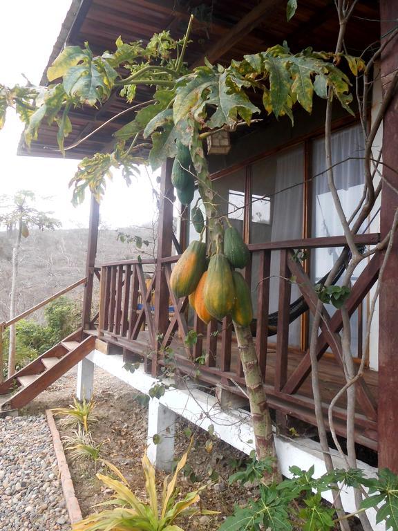 Maremonti Bed & Breakfast Puerto López Eksteriør billede