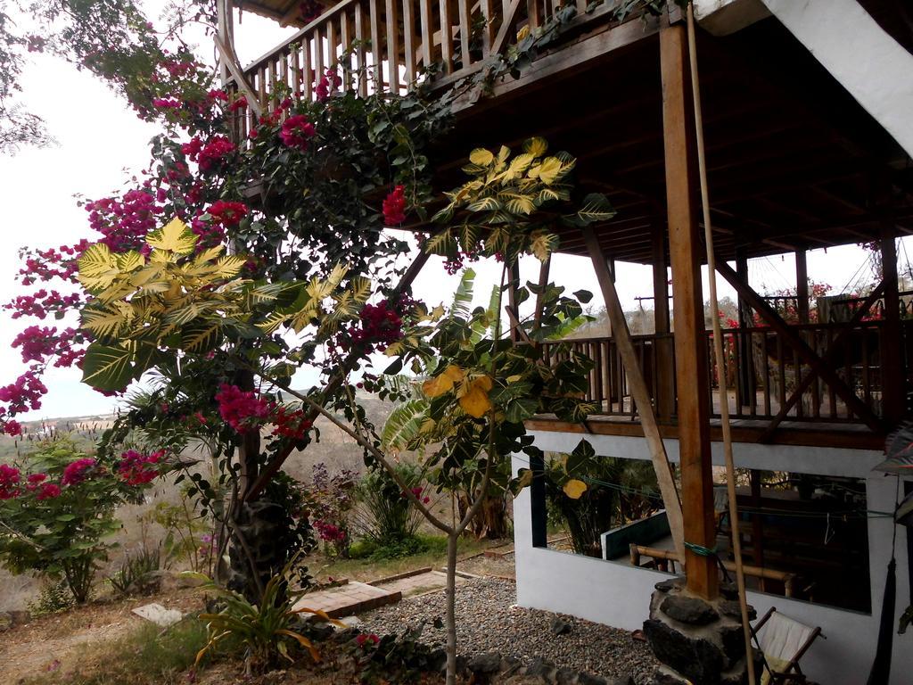 Maremonti Bed & Breakfast Puerto López Eksteriør billede